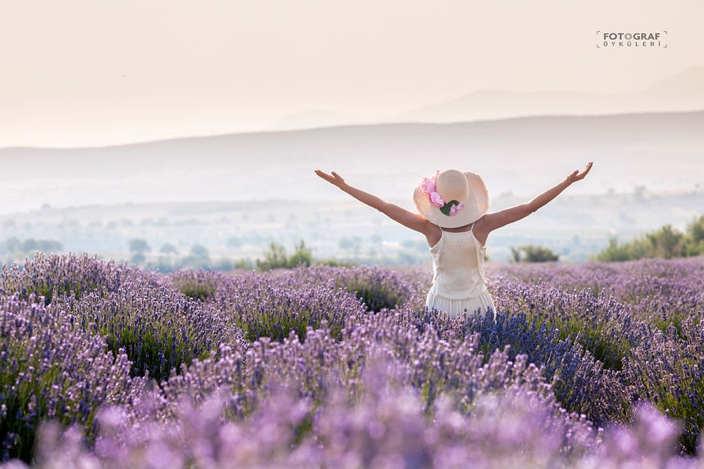 WhatsApp-Image-2019-01-12-at-20.09.57-1